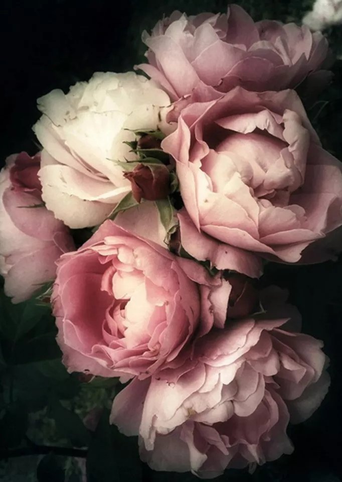 №2623266 - оригинал