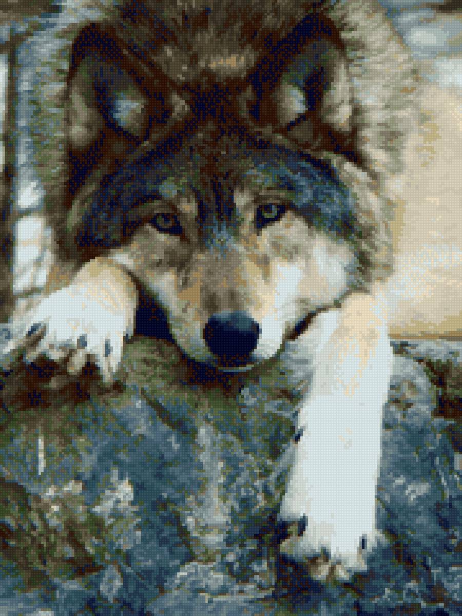 На отдыхе - животные, волк - предпросмотр