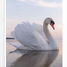 Схема вышивки «№2623835»