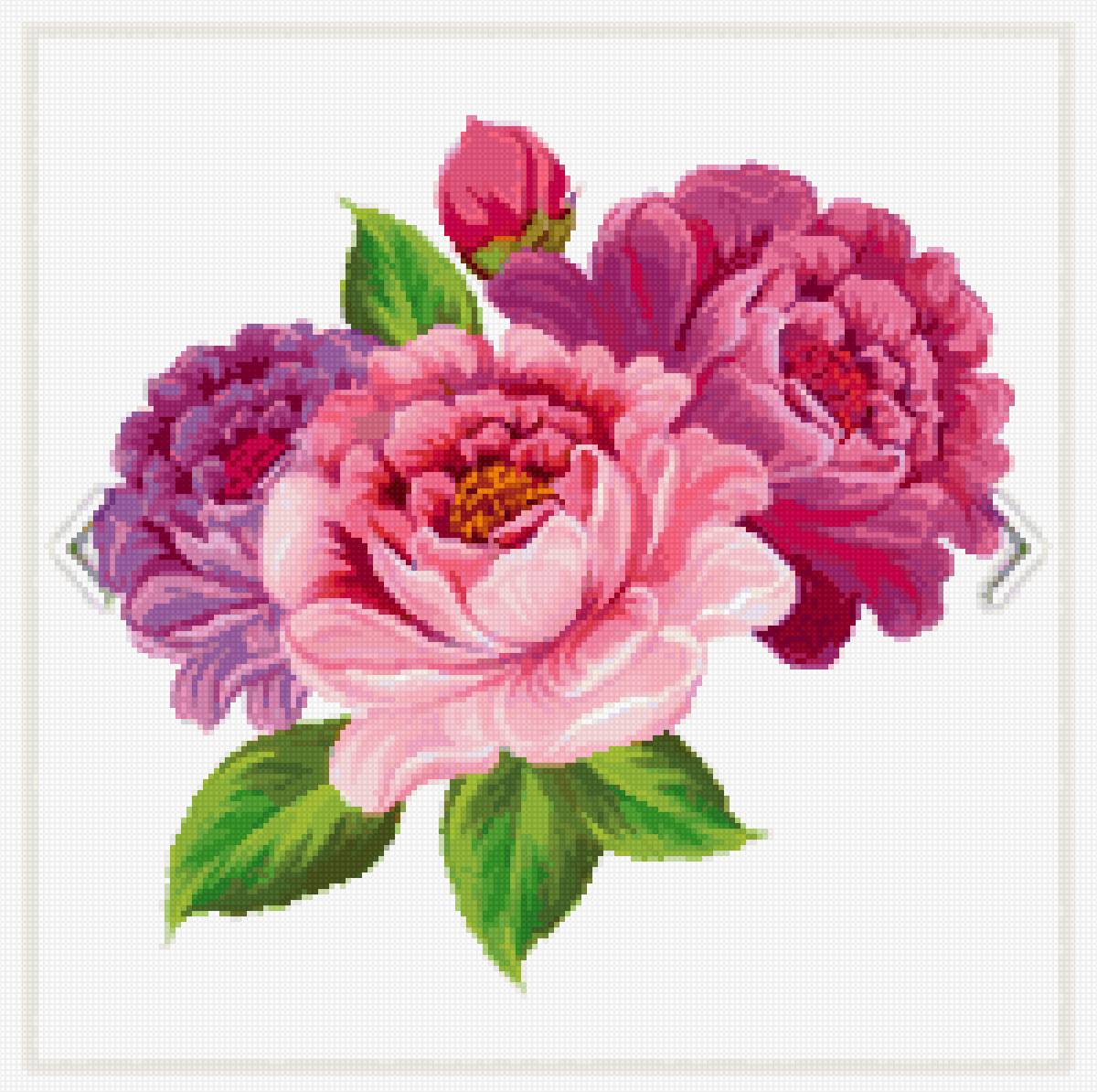 Цветы - предпросмотр