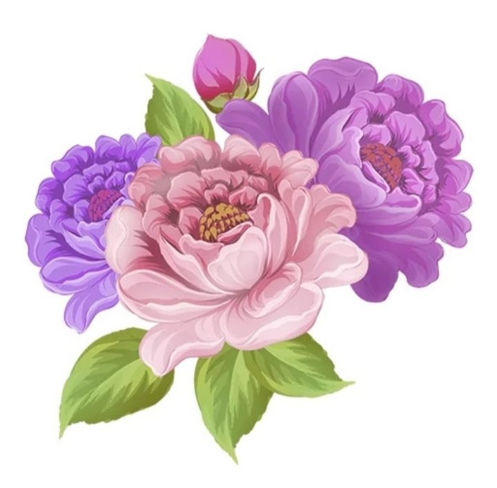 Расцвели - цветы, розово сиреневый букет - оригинал