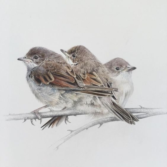 №2624029 - оригинал