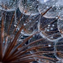 Схема вышивки «№2624045»