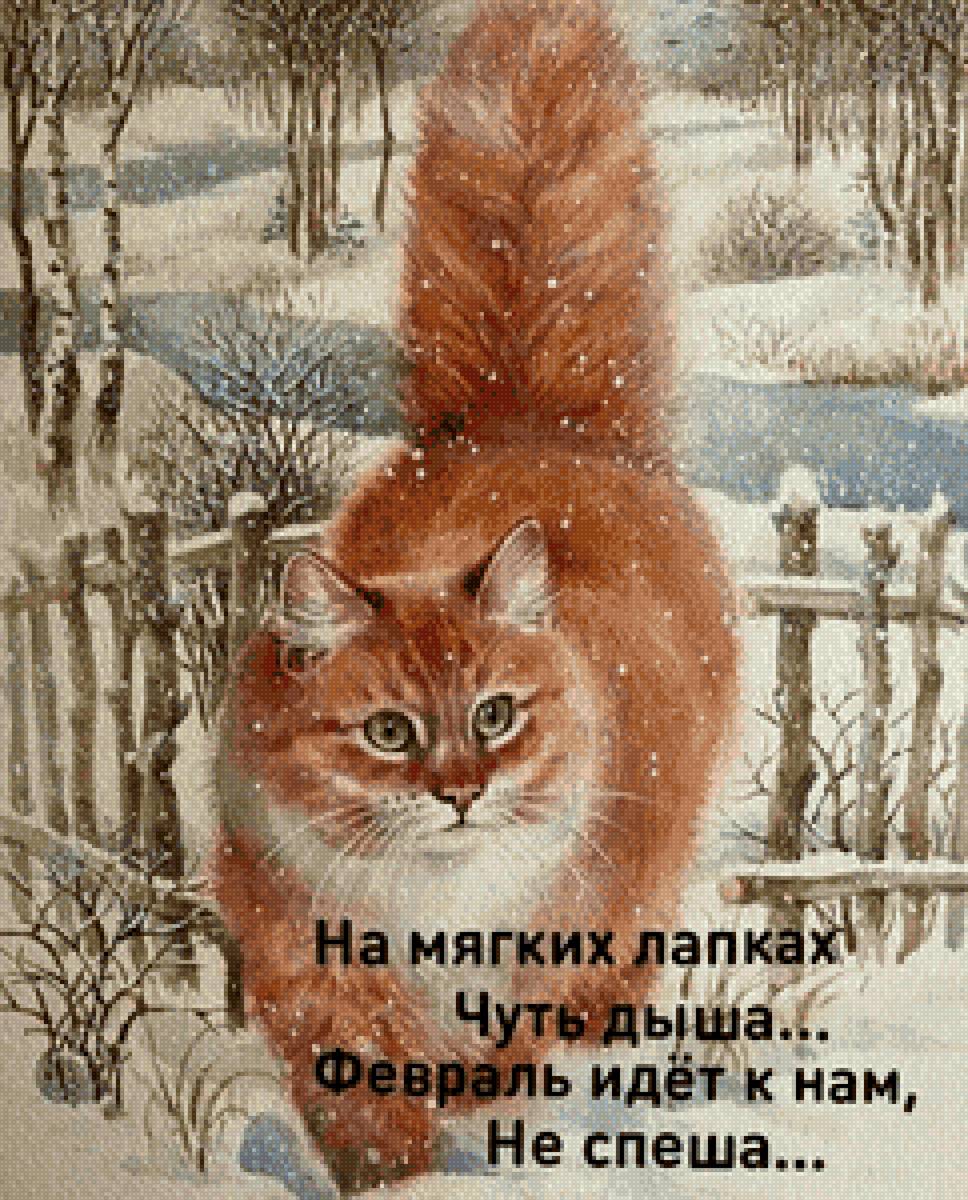 Рыжий кот - рыжий кот - предпросмотр