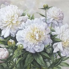 Схема вышивки «белые пионы»