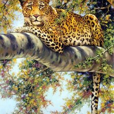 Схема вышивки «Леопард»