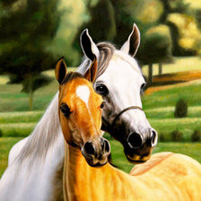 Схема вышивки «№2624640»