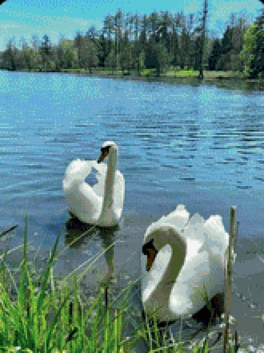 Лебеди 2 - предпросмотр