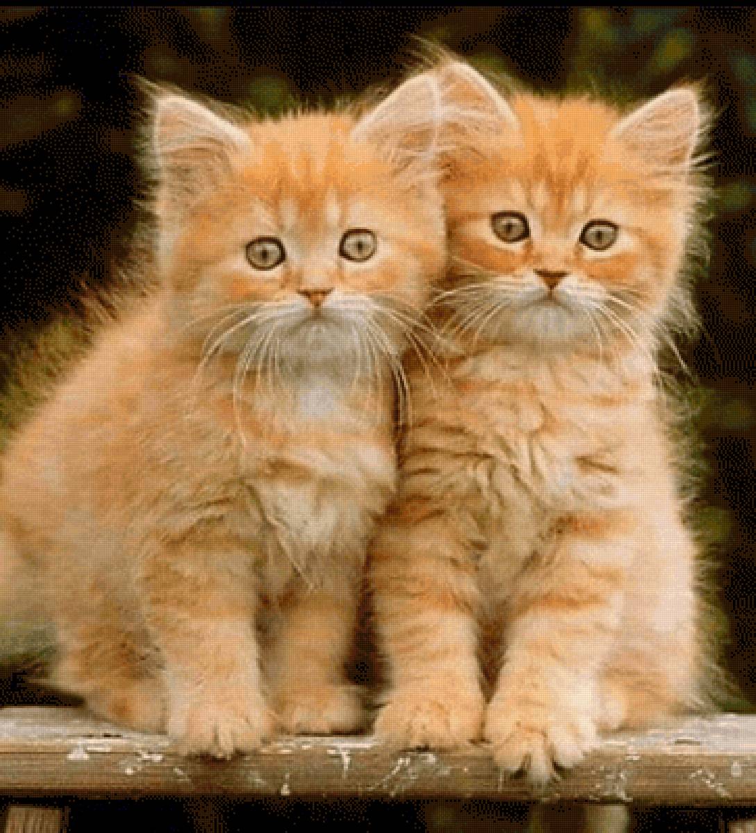 №2624923 - предпросмотр