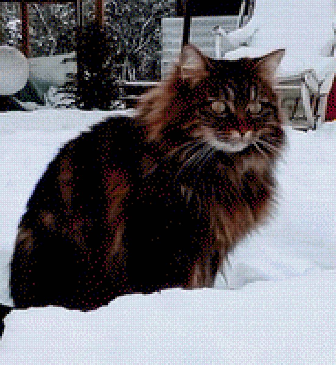 chat - предпросмотр