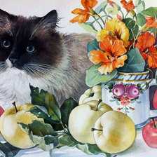Оригинал схемы вышивки «Натюрморт с котом» (№2625631)