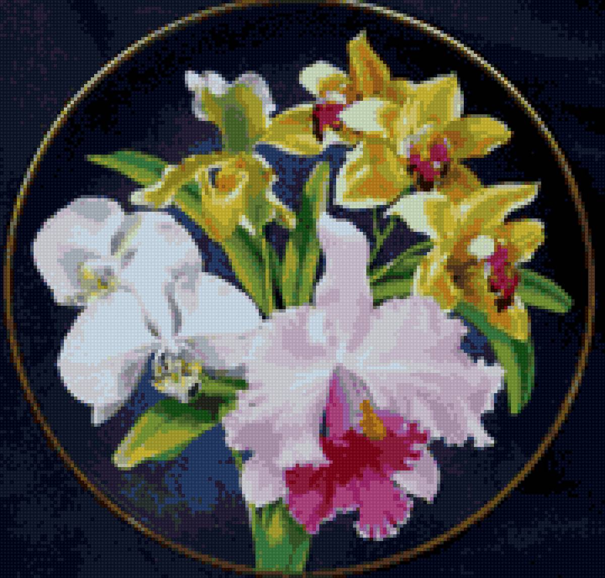 Орхидеи - цветы, орхидеи - предпросмотр