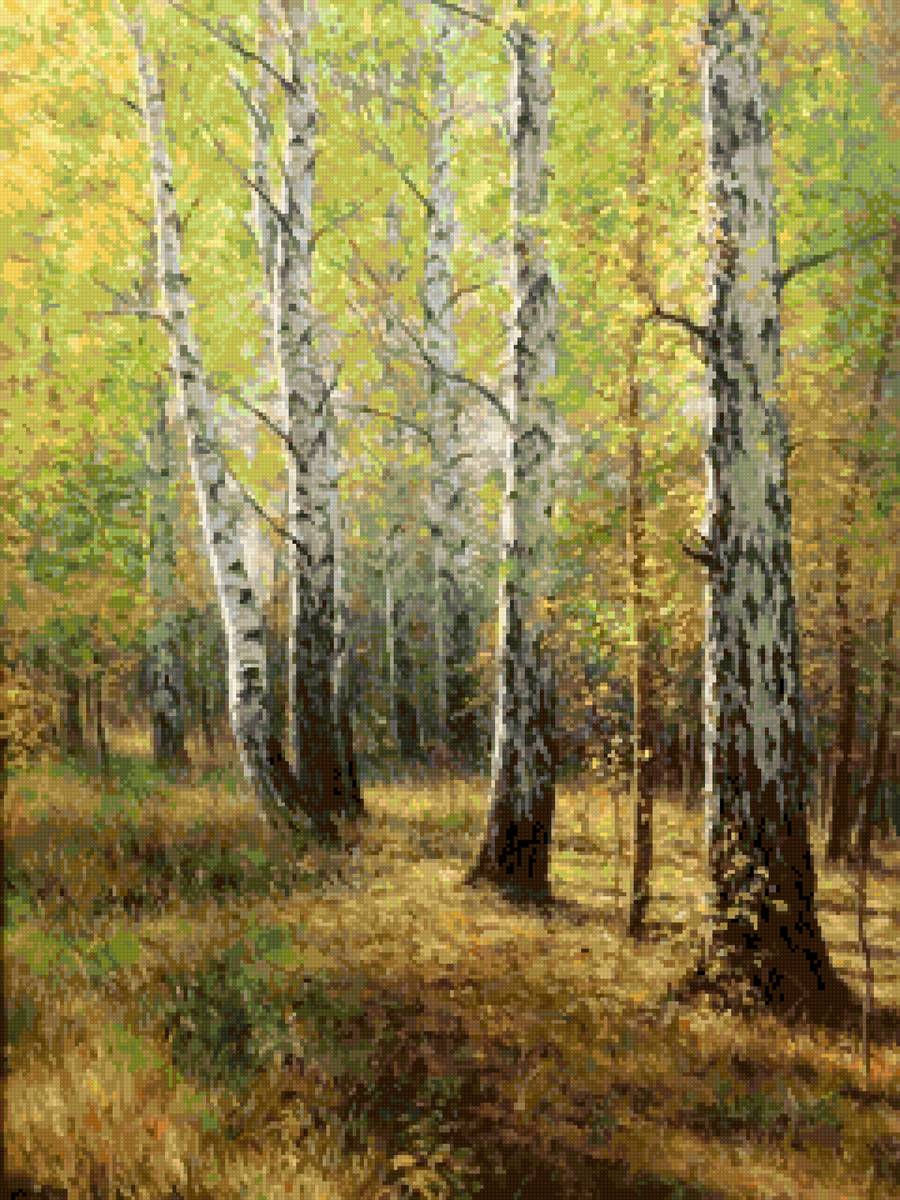 Лес - солнце, лес, березы - предпросмотр