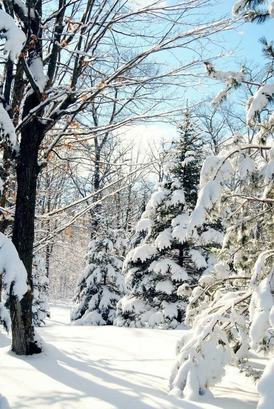 №2626015 - оригинал