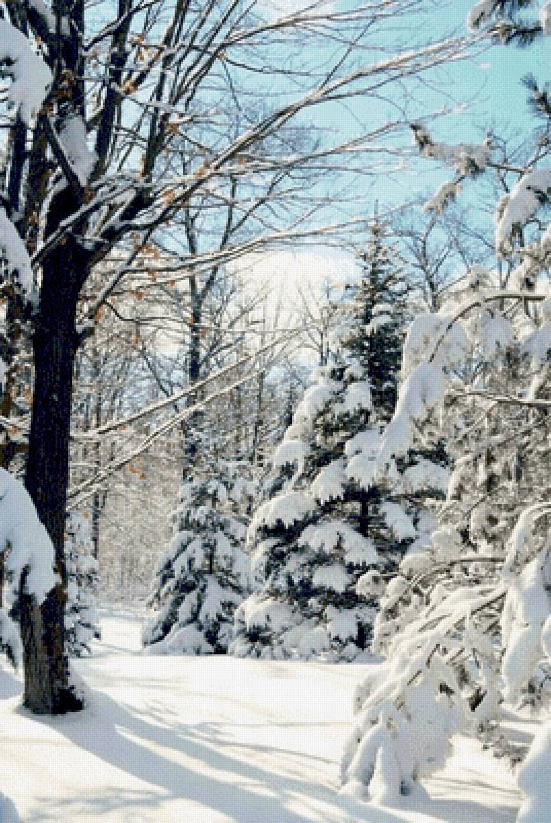 №2626015 - предпросмотр