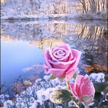 Схема вышивки «№2626213»