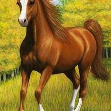 Схема вышивки «№2626250»