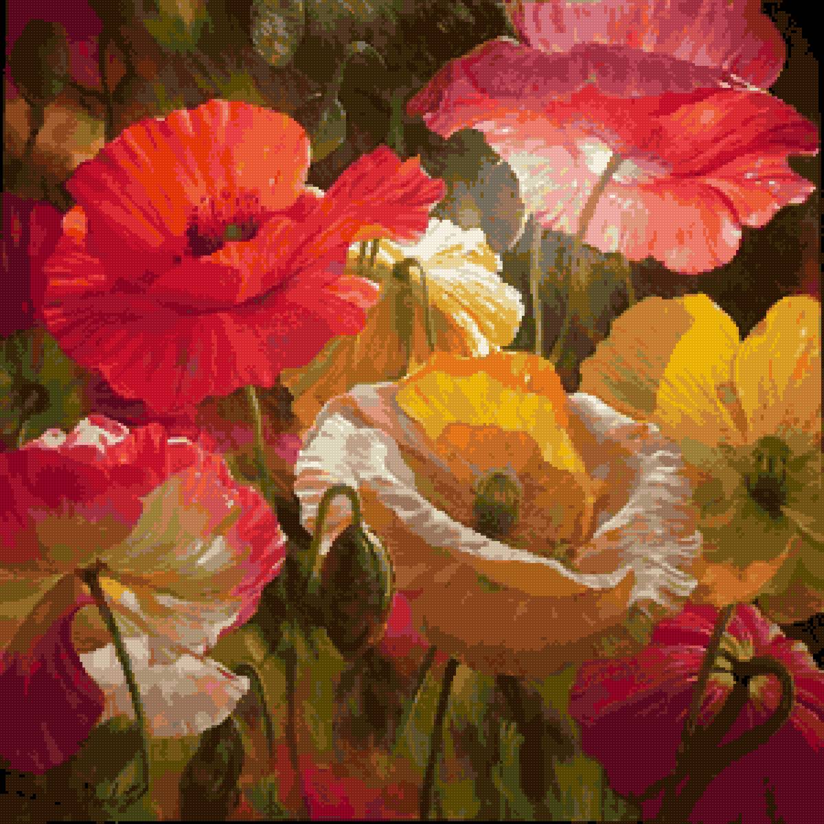 Солнечные маки - цветы - предпросмотр