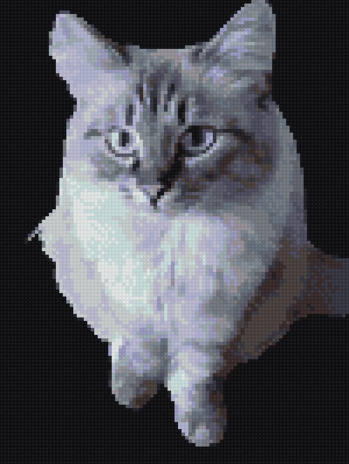 Кошка - предпросмотр