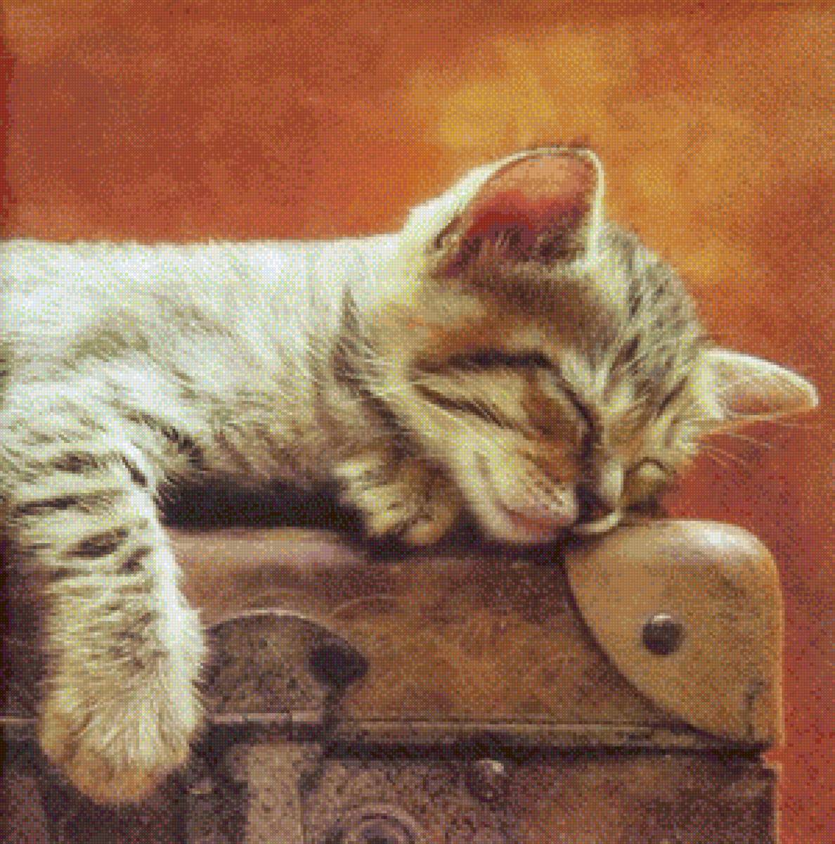 Gatos - предпросмотр