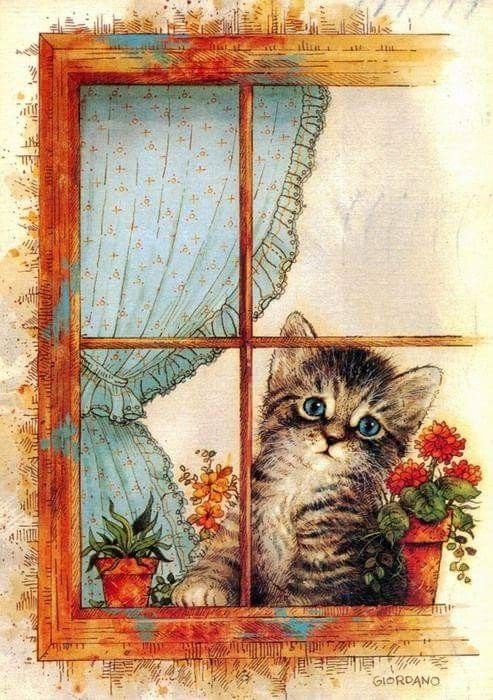 Gatos - оригинал