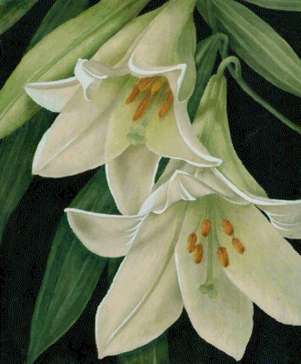 №2626890 - предпросмотр