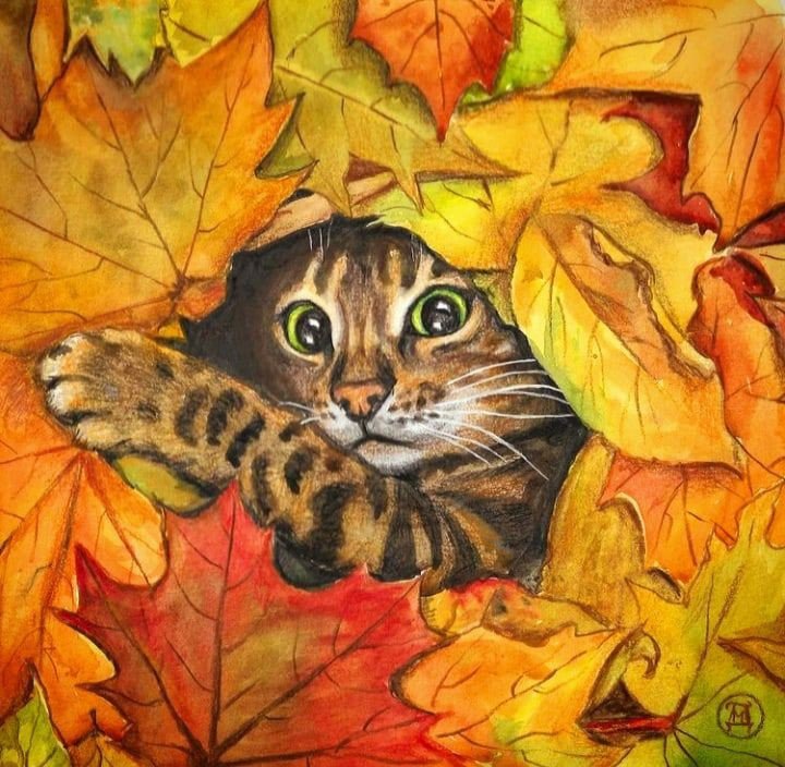 Осенний кот - кот - оригинал