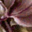Предпросмотр схемы вышивки «орхидея» (№2627317)