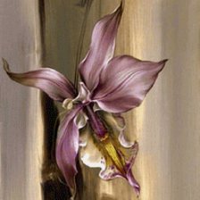 Оригинал схемы вышивки «орхидея» (№2627317)