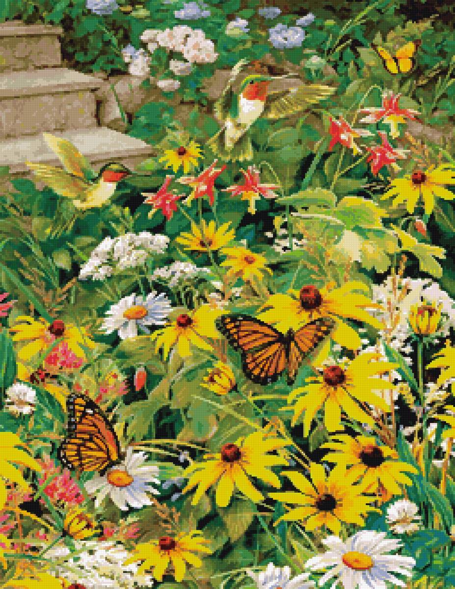 Краски лета - птицы, бабочки, цветы - предпросмотр