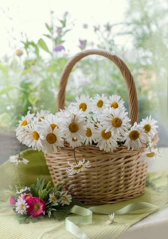 №2627527 - оригинал