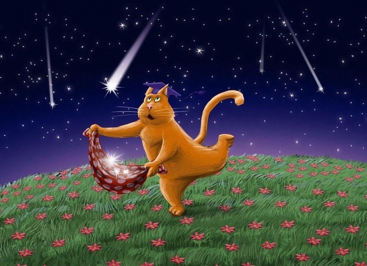 Котей - оригинал