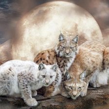 Схема вышивки «Коты»