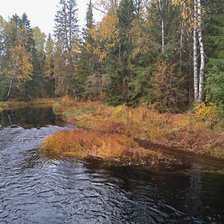 Схема вышивки «Осень»