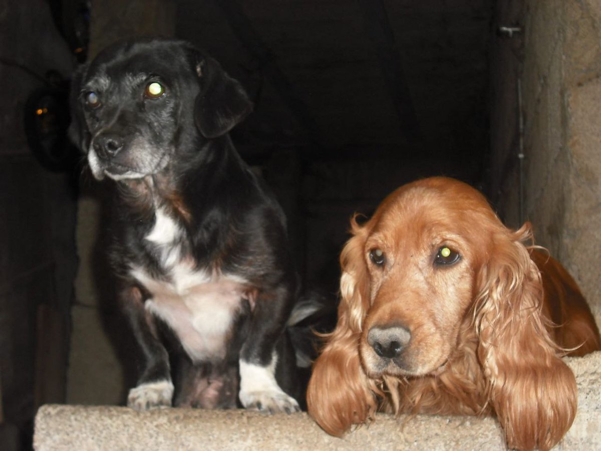 №2628051 - оригинал