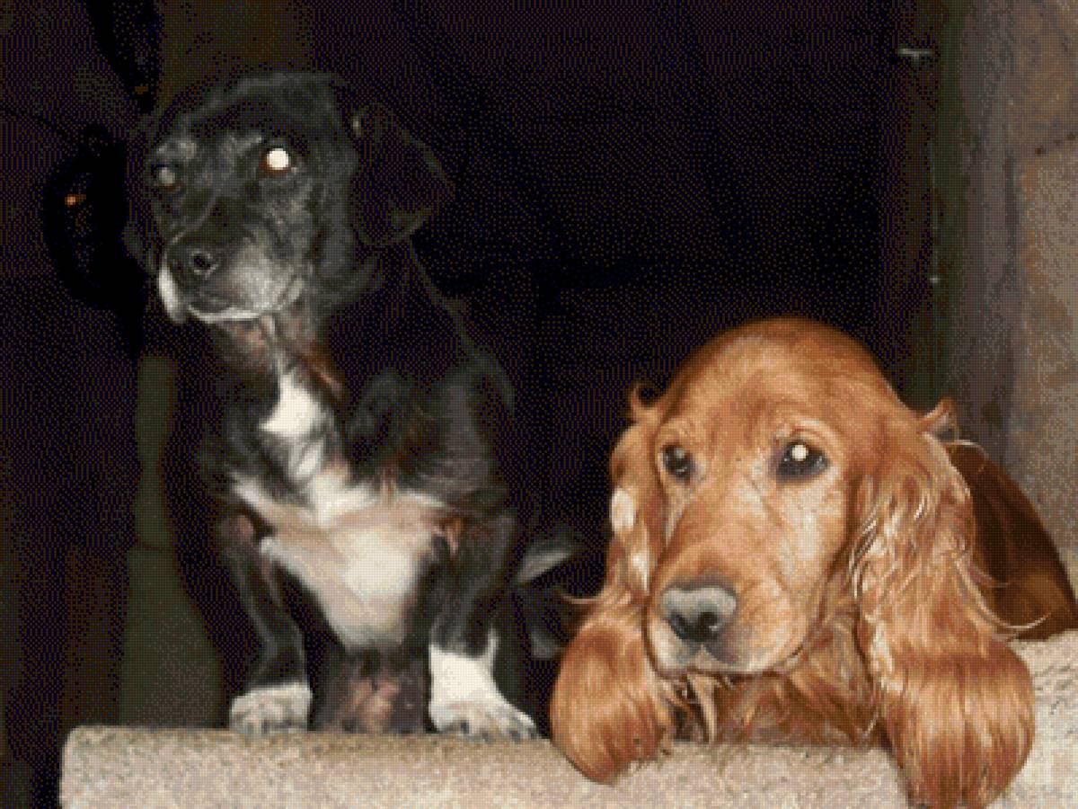 №2628051 - предпросмотр