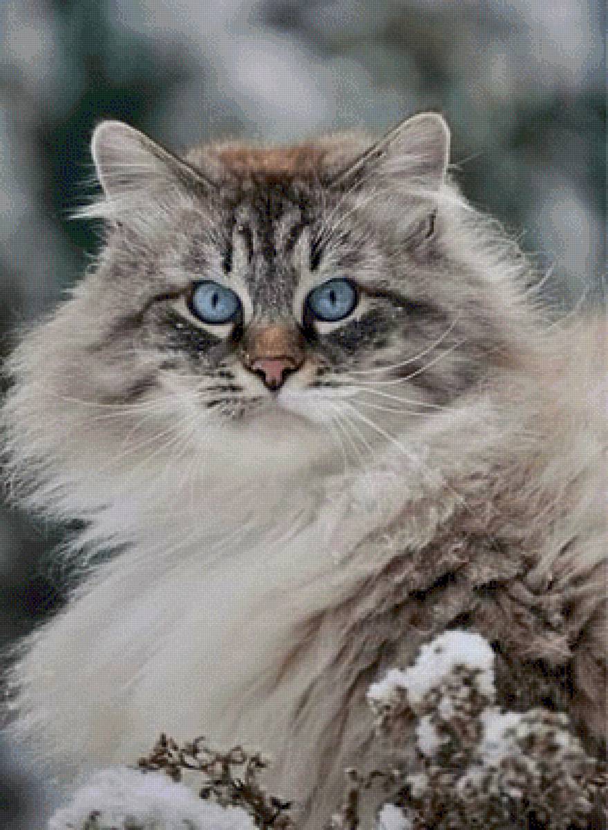 №2628329 - предпросмотр