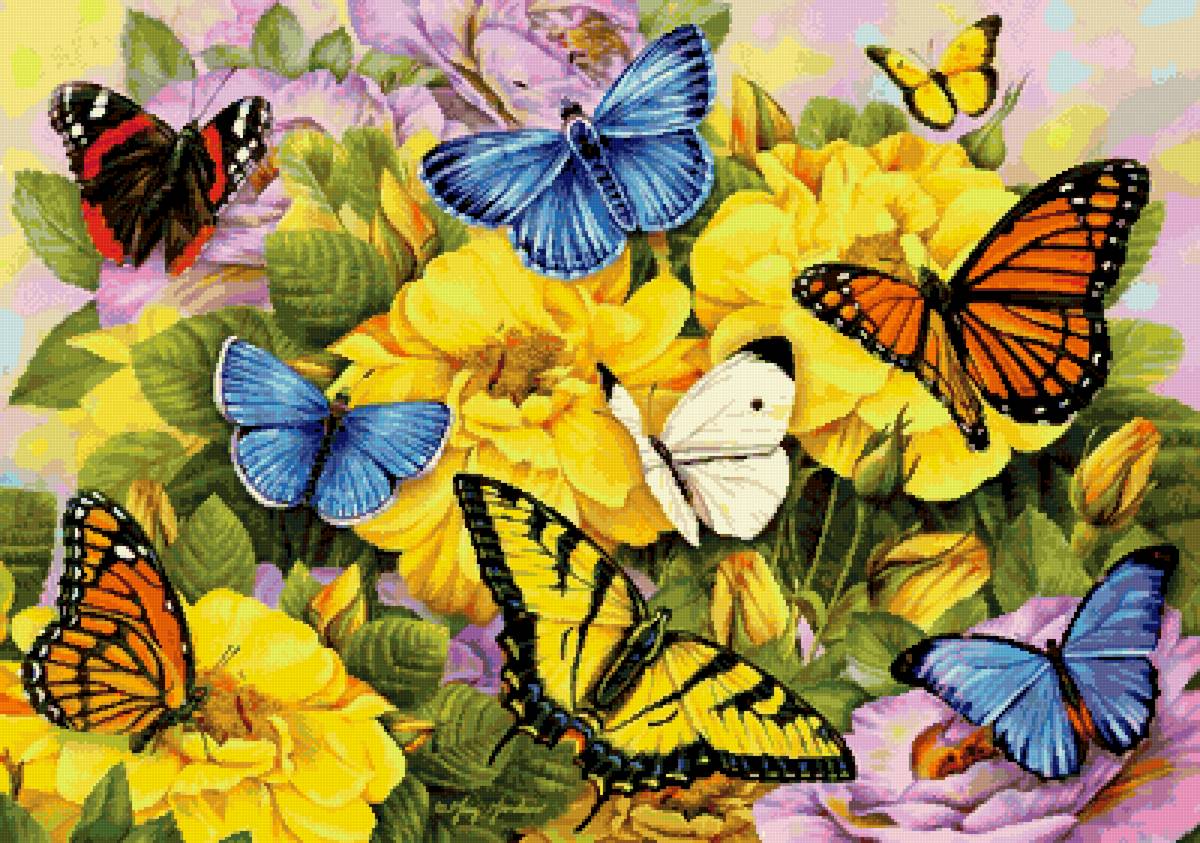 №2628390 - цветы, бабочки - предпросмотр