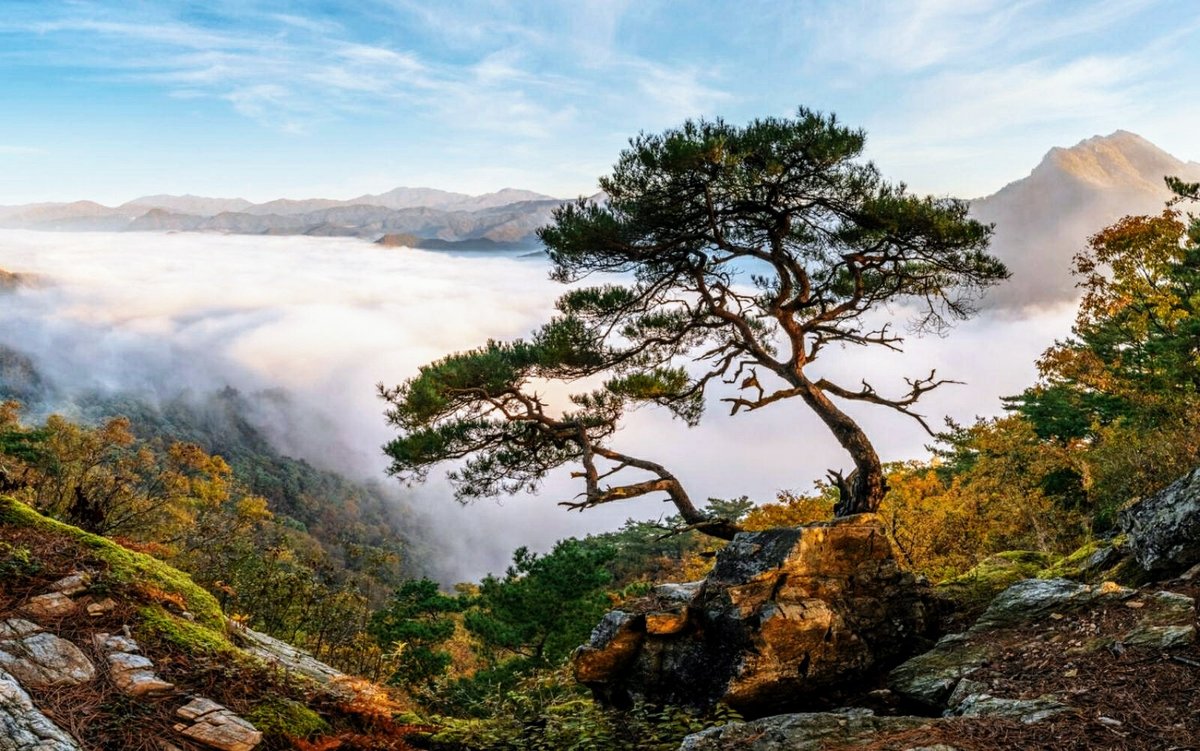 №2628398 - пейзаж, горы - оригинал