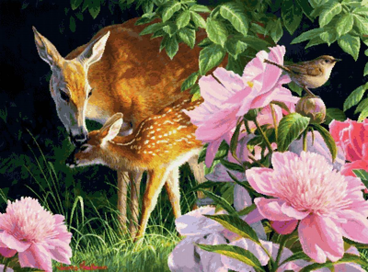 №2628409 - олени, животные - предпросмотр