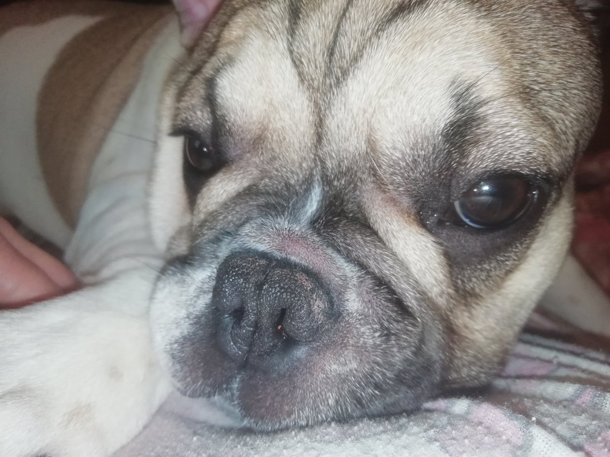 №2628732 - оригинал