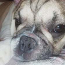 Схема вышивки «№2628732»