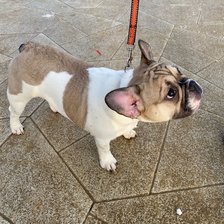 Схема вышивки «№2628736»