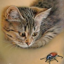 Схема вышивки «Кот,жук»