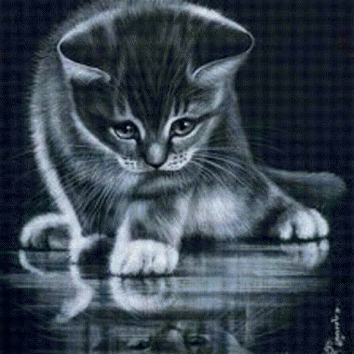 Котенок - котенок - предпросмотр