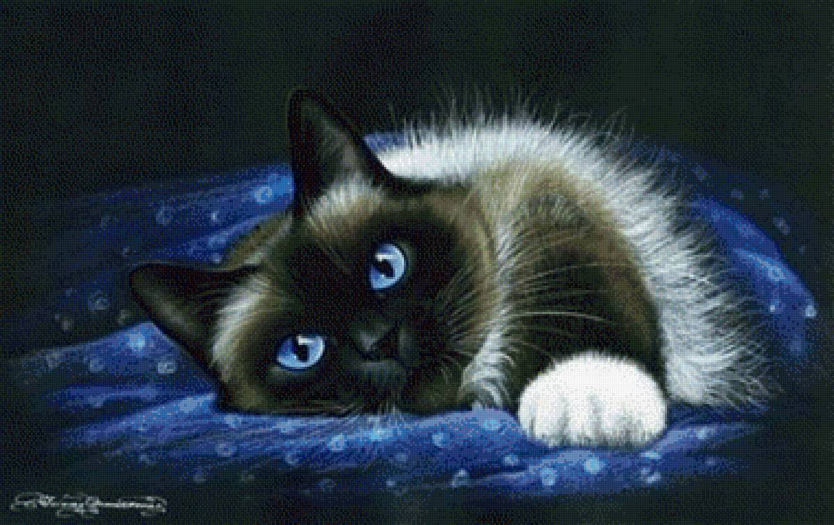 Кот ,, Пушок,, - кот, пушок,  - предпросмотр