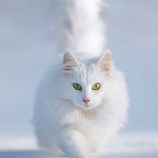 Схема вышивки «№2628871»