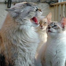 Схема вышивки «№2628875»