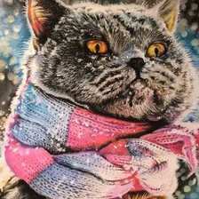 Оригинал схемы вышивки «кот зимой» (№2628923)