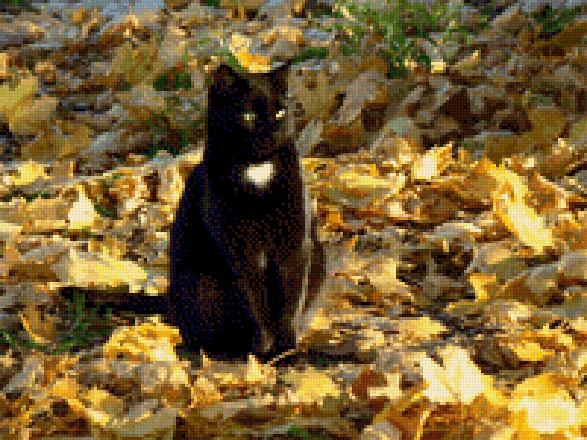 Осень - предпросмотр